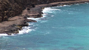 Rocky Shore