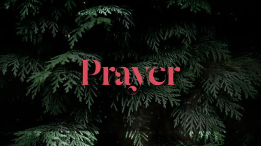 Evergreen Prayer