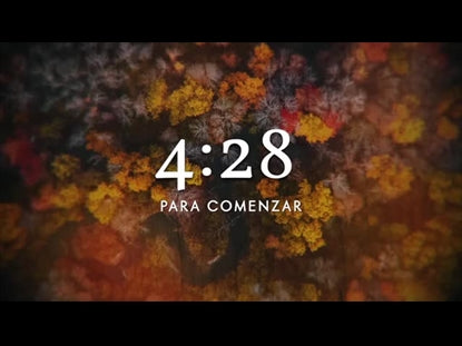 Aerial Journey Countdown - Spanish