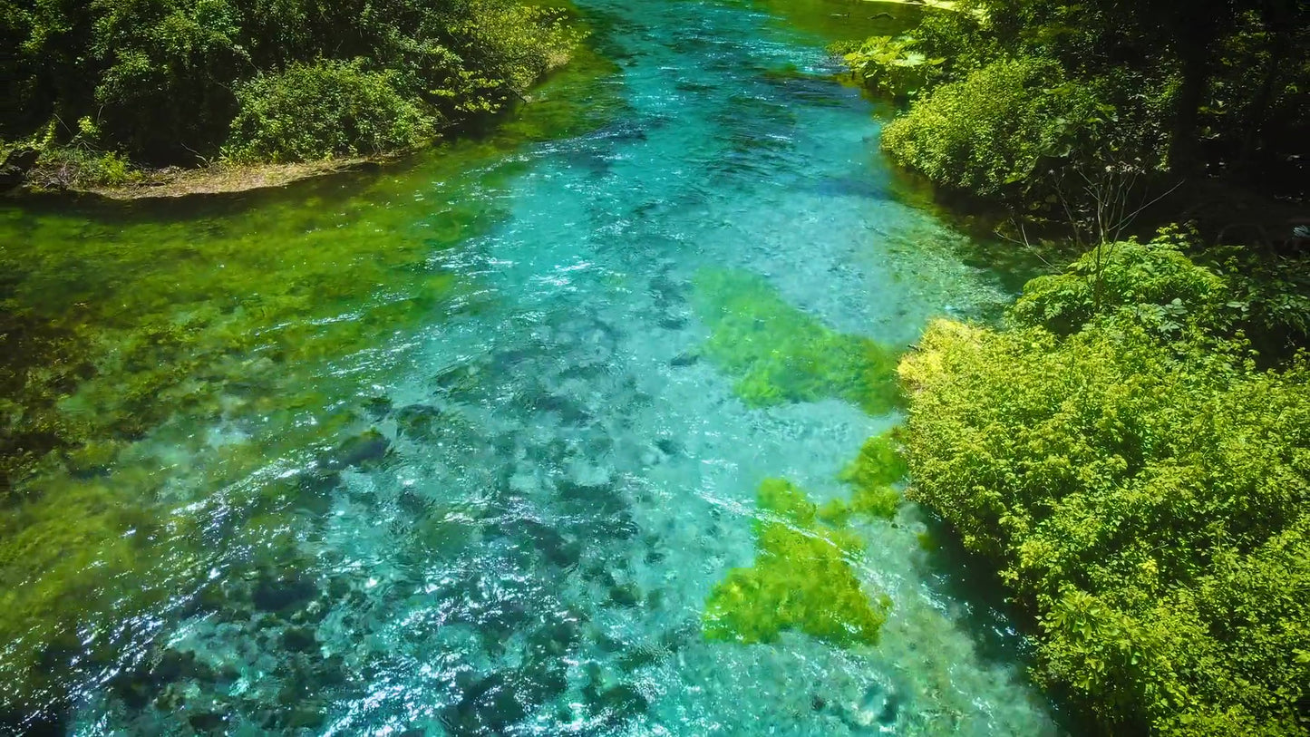Blue Eye 8