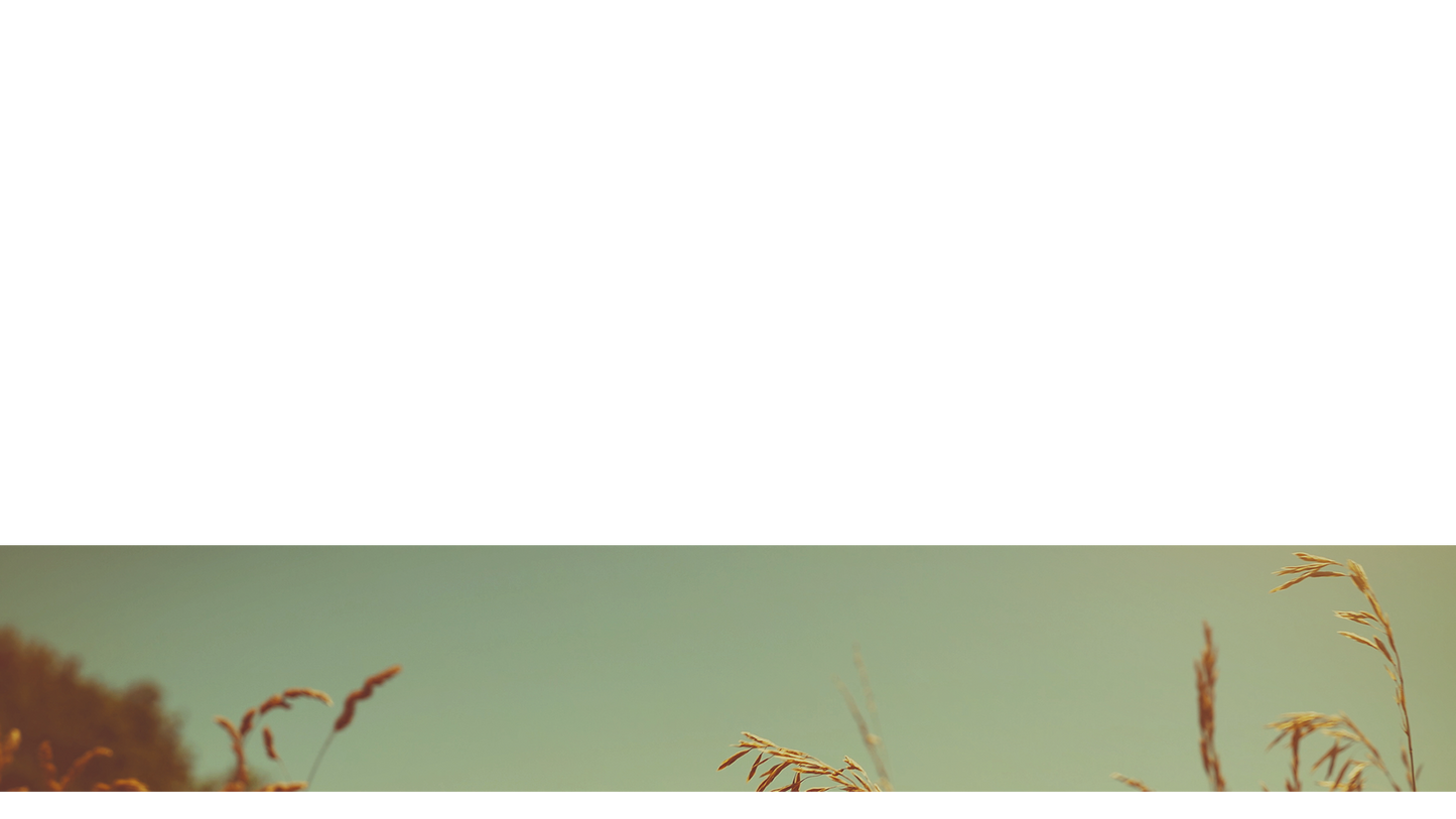 Summer Bright Lower Third Full 1