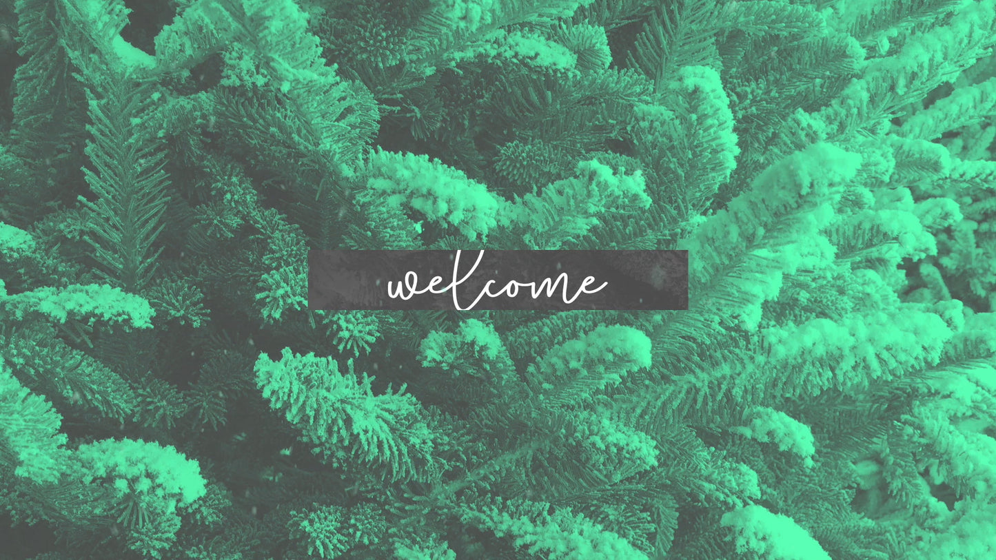Modern Winter Trees Welcome Still