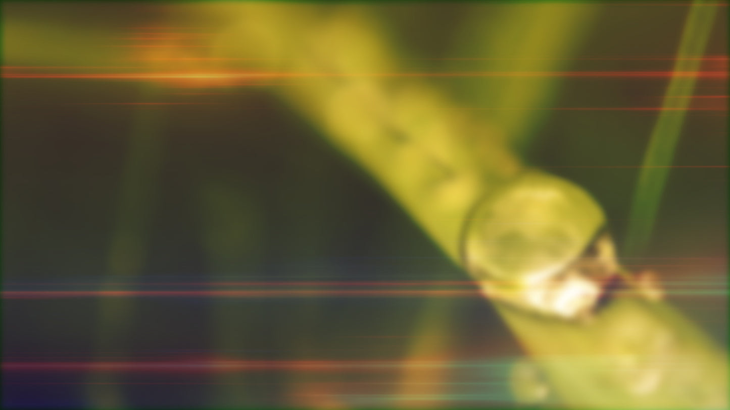 Morning Dew Blur