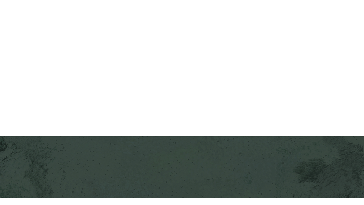 Lent Textures Lower Third 3