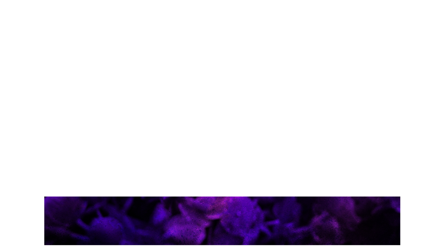 Floral Paint Lower Third Full Blank
