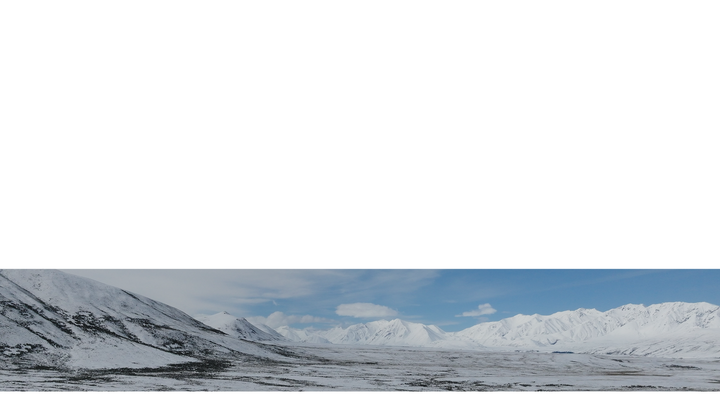 Winter Expanse Lower Third 11