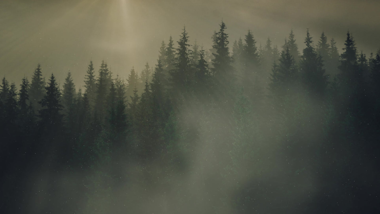 Lumberjack Dad Dusk