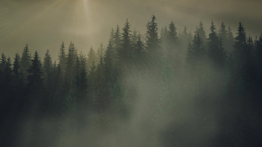 Lumberjack Dad Dusk