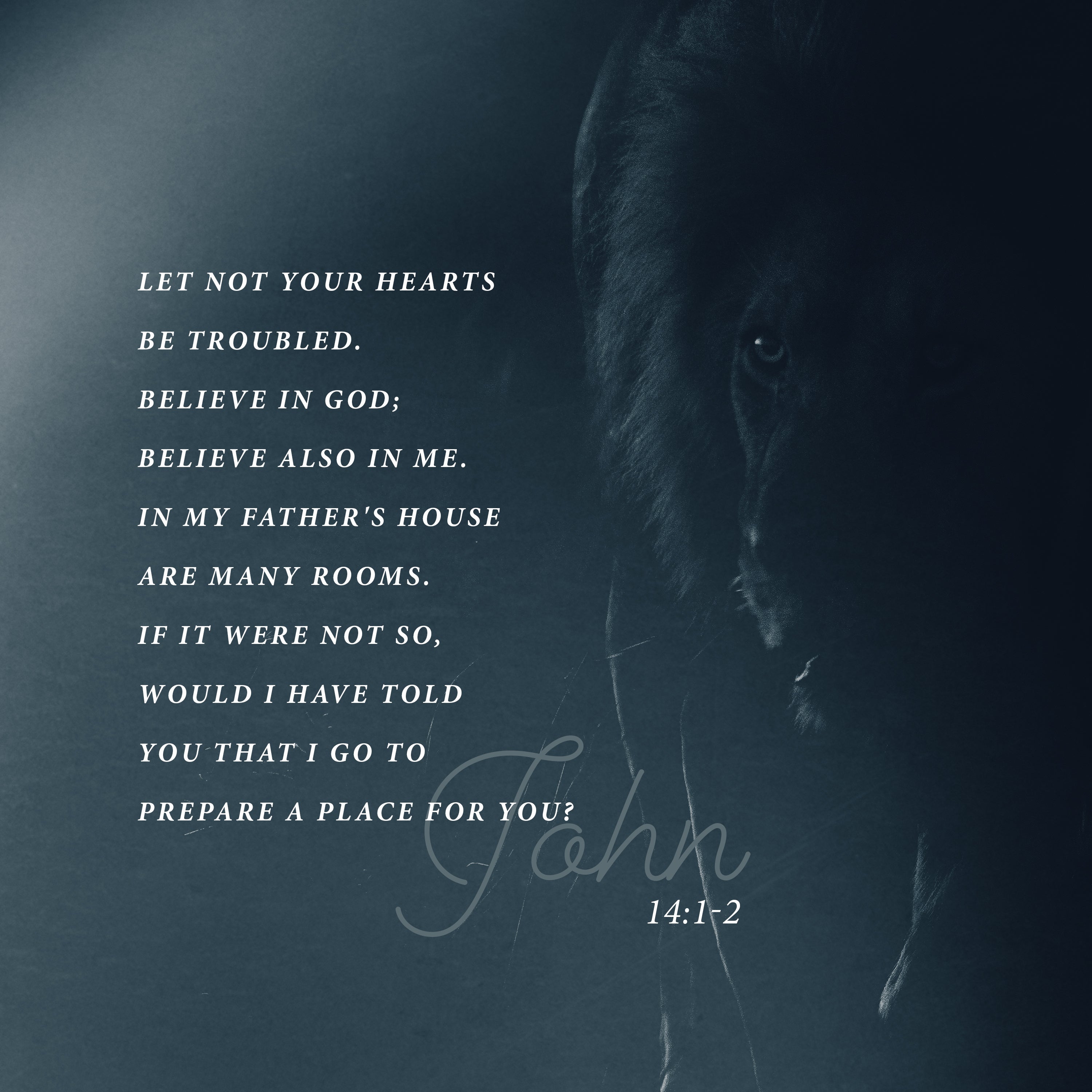 John 14:1-2 Still | Shift Worship