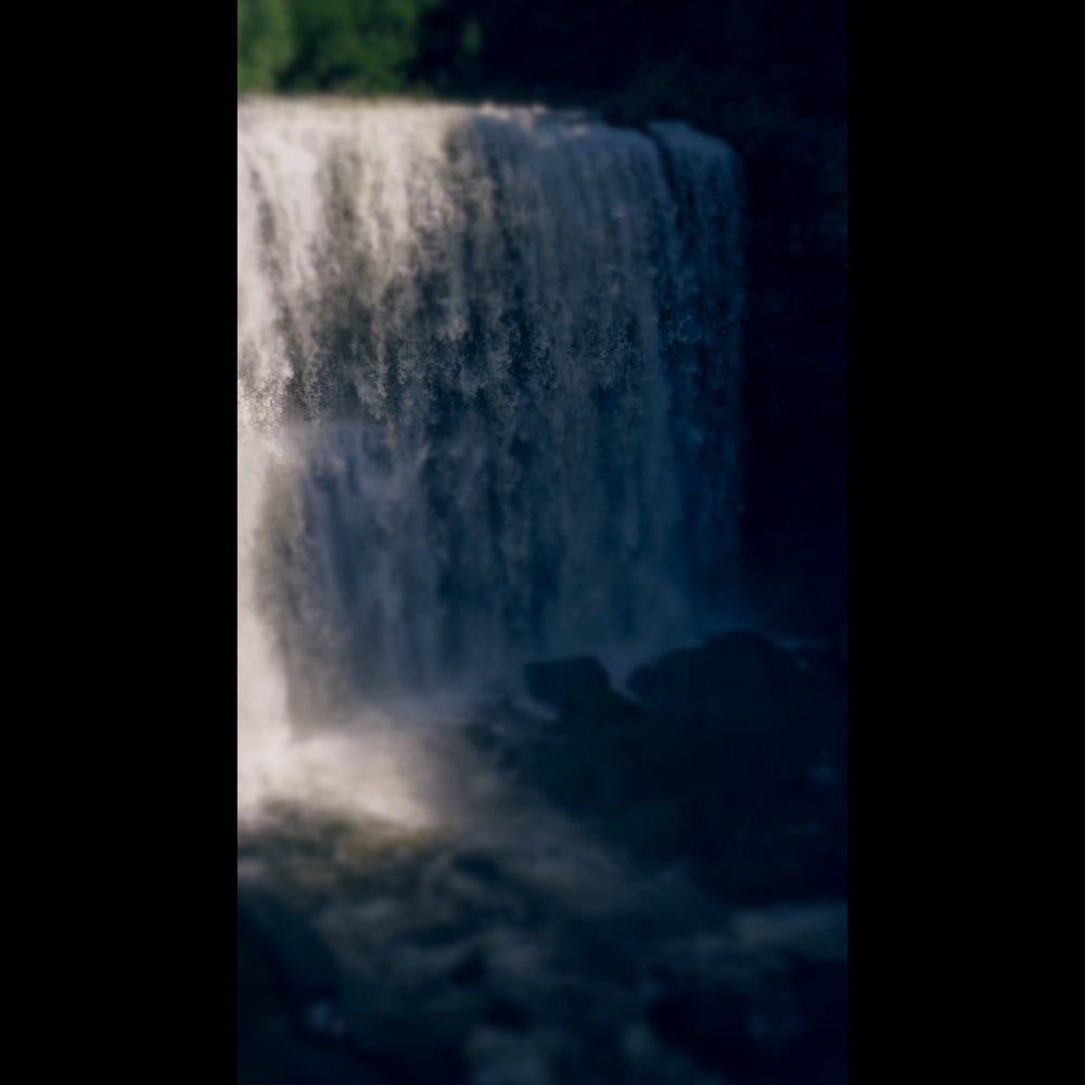 Nature's Force Pray Blank Reel