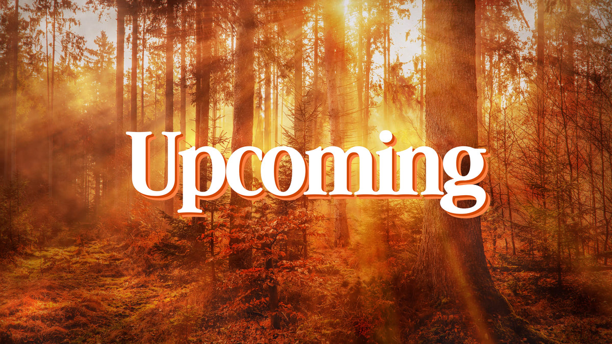 Thanksgiving Light Upcoming