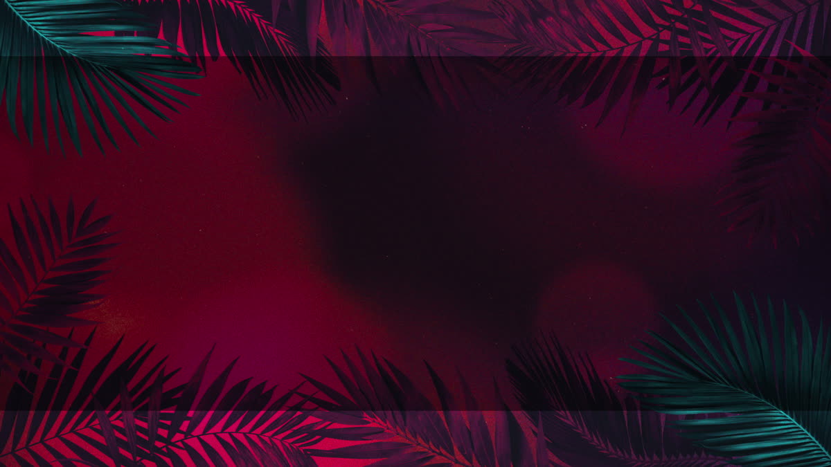 Vibrant Palms 4 Alt