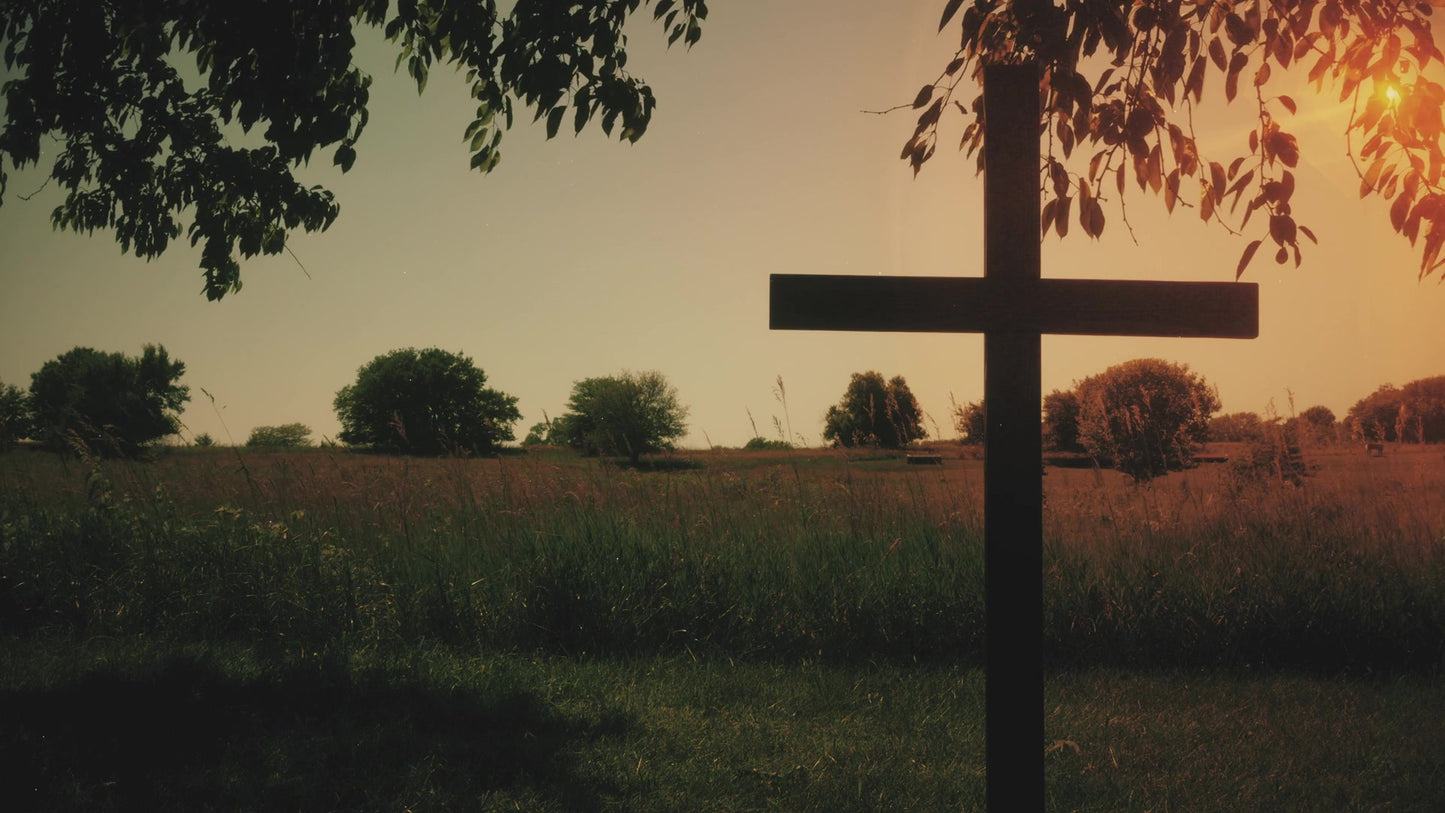 Nature Cross 3