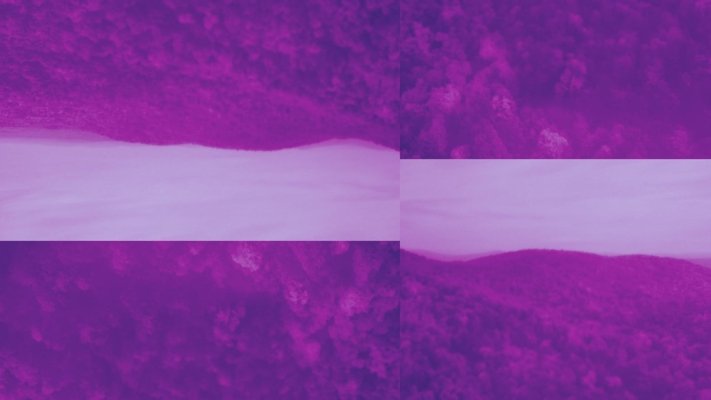 Thanksgiving Flight Autumn Alt