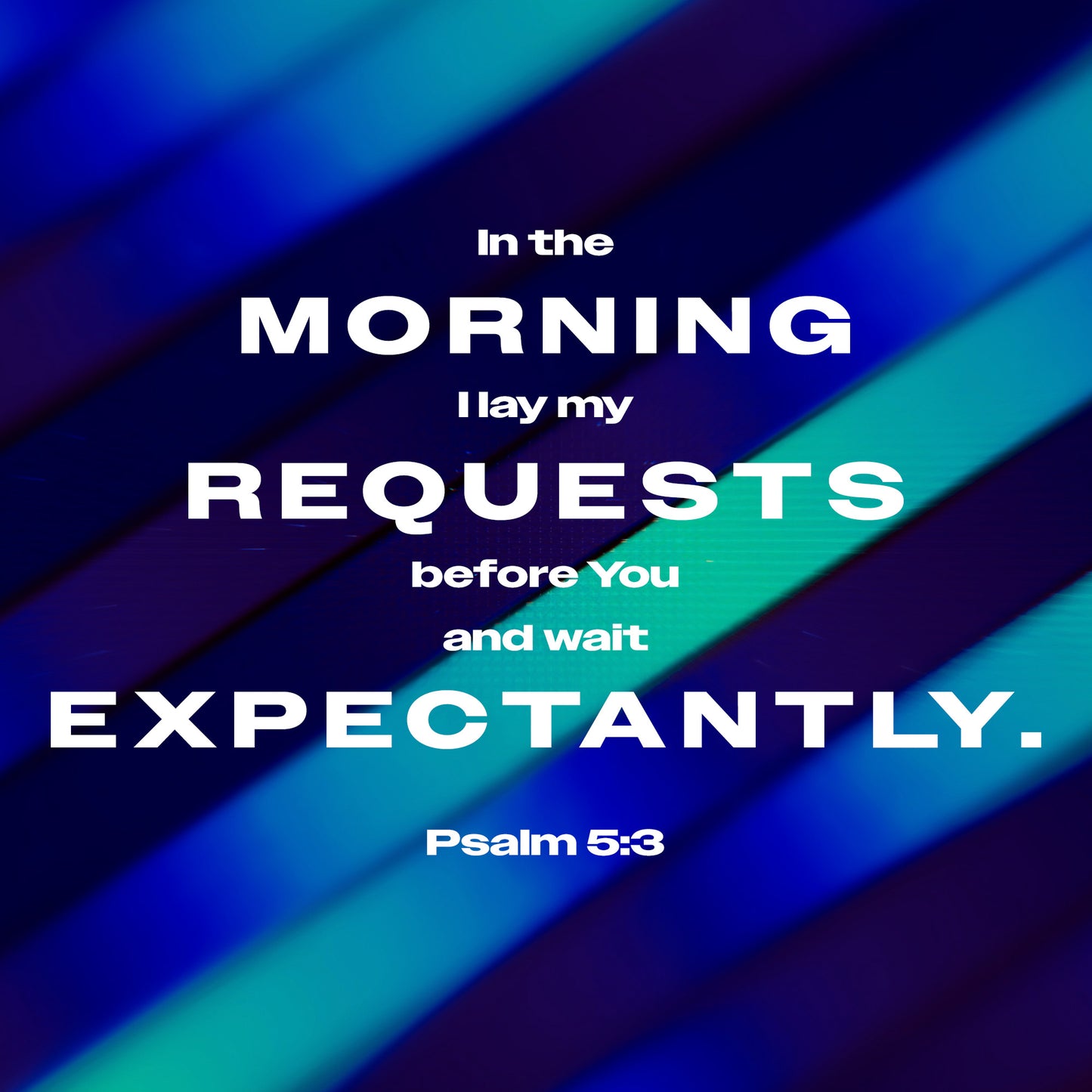 New Vision Scripture