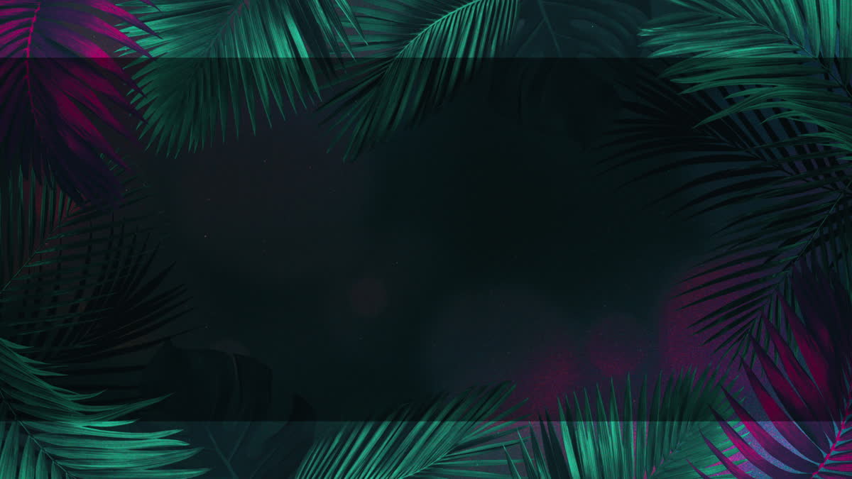 Vibrant Palms 1 Alt