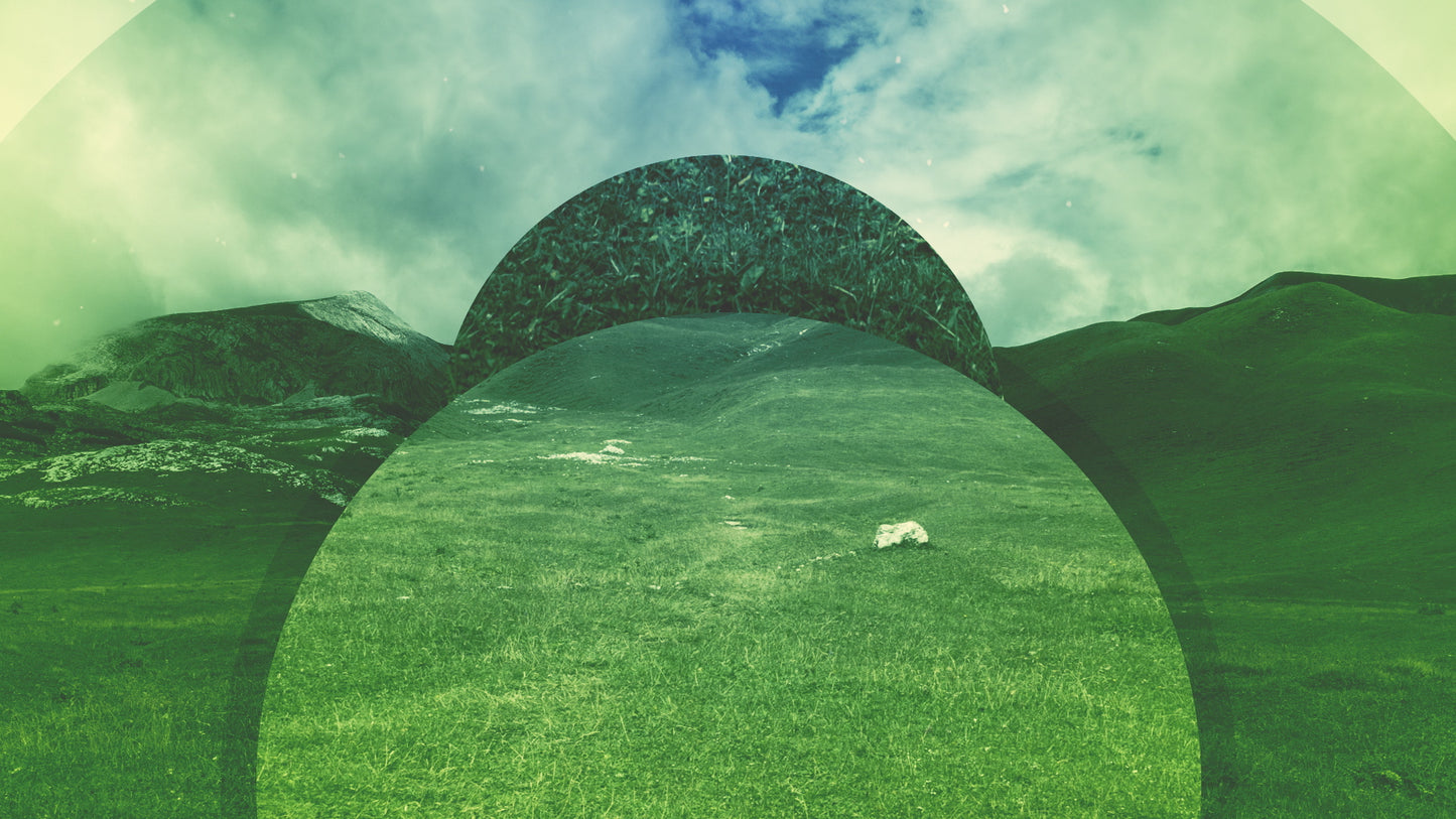 Natural Hills