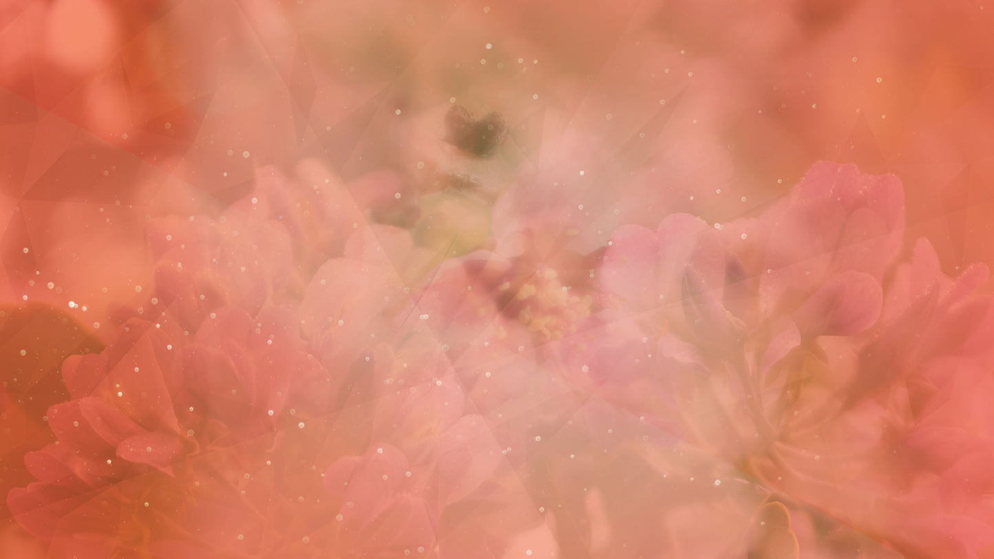 Spring Geometry Pink Flowers Two