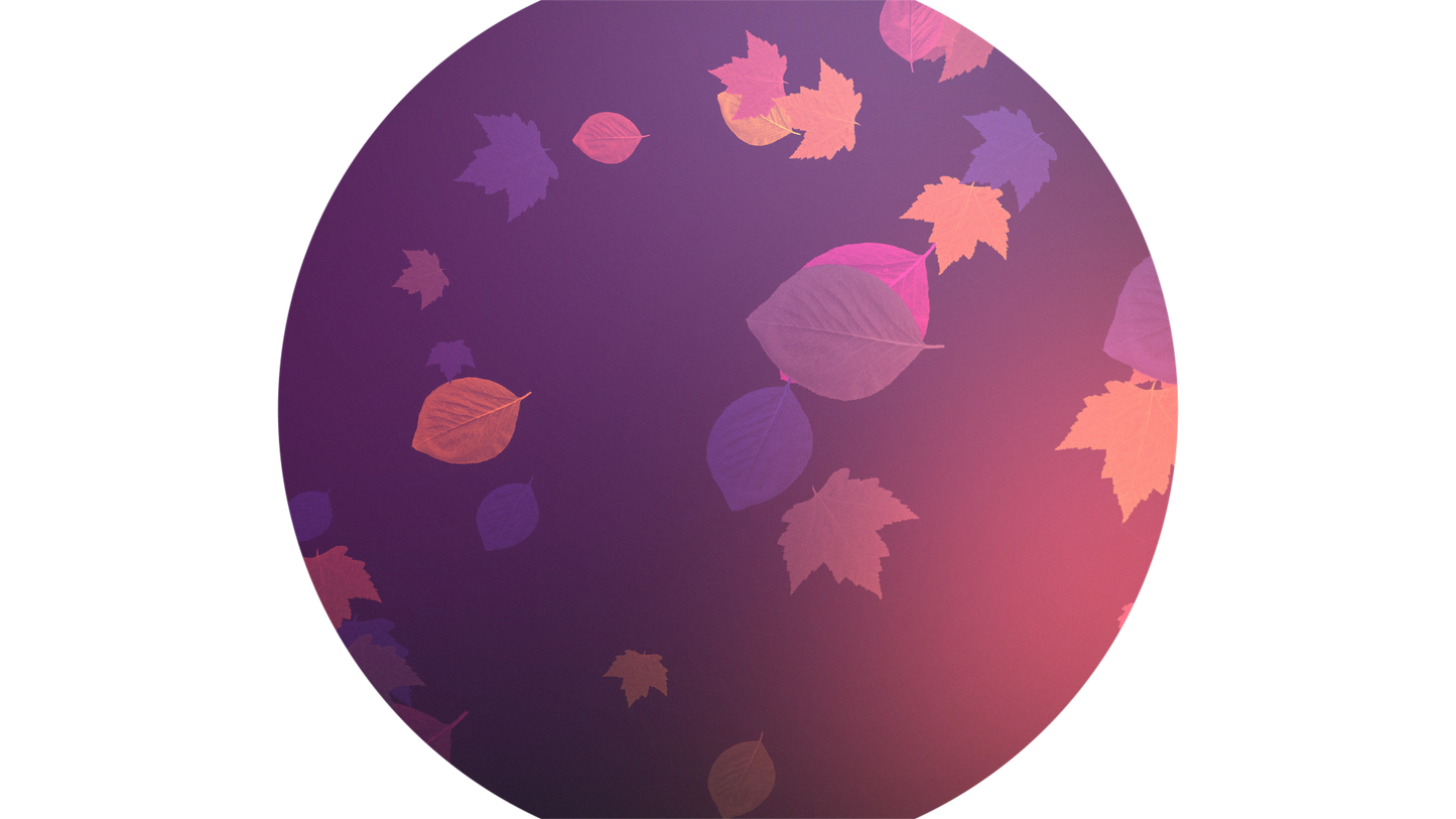 Vibrant Fall Overlay Circle 02