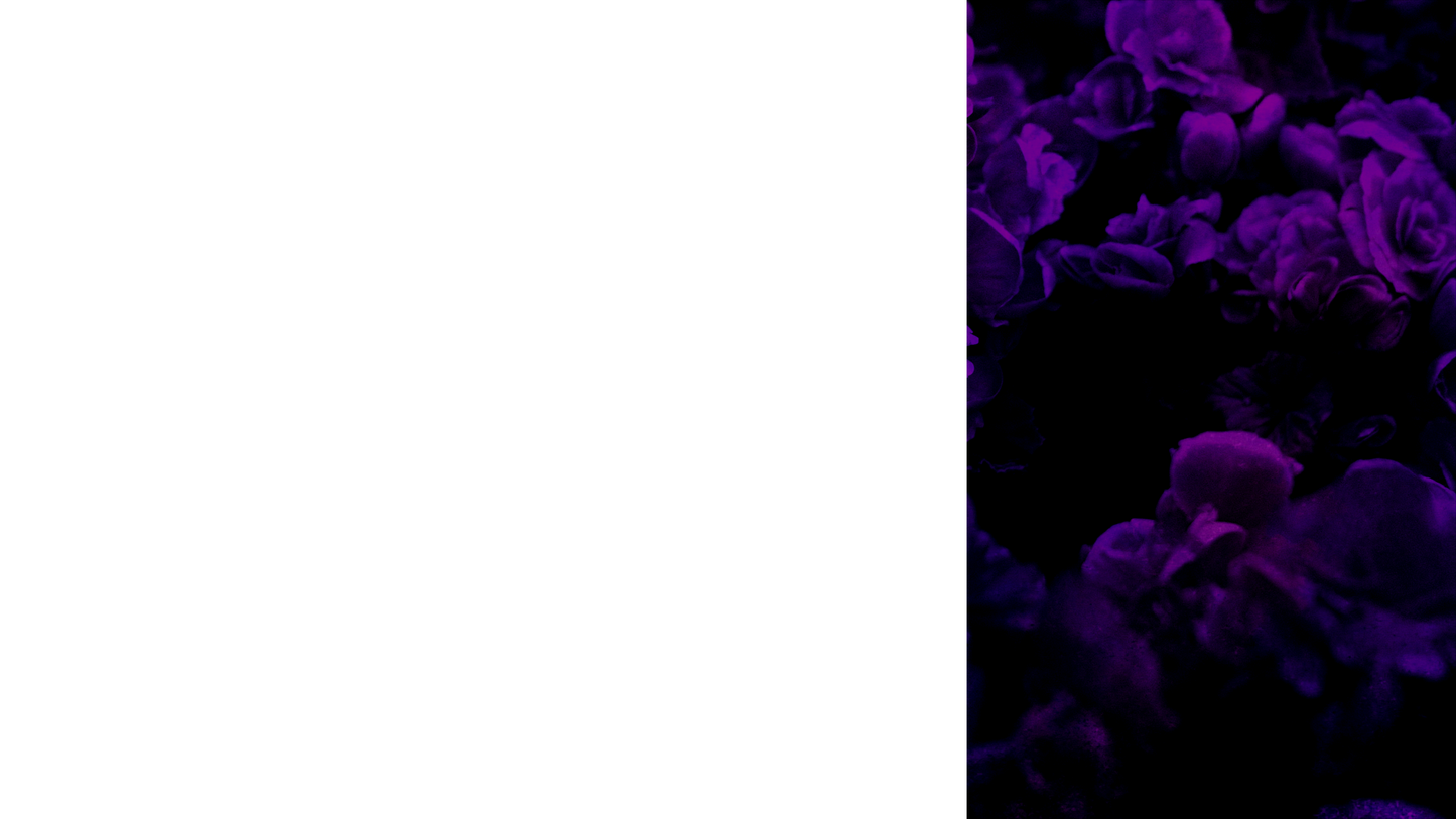 Floral Paint Lower Third Right Blank
