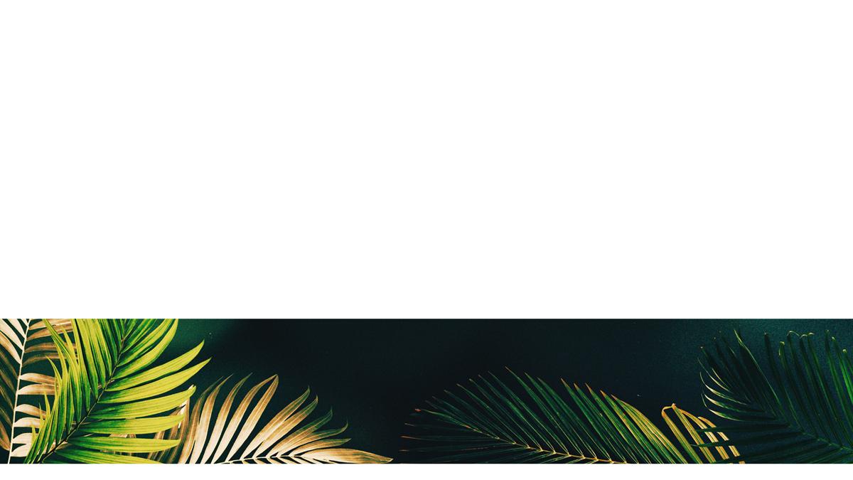Vibrant Palms Lower Third 7