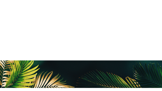 Vibrant Palms Lower Third 7