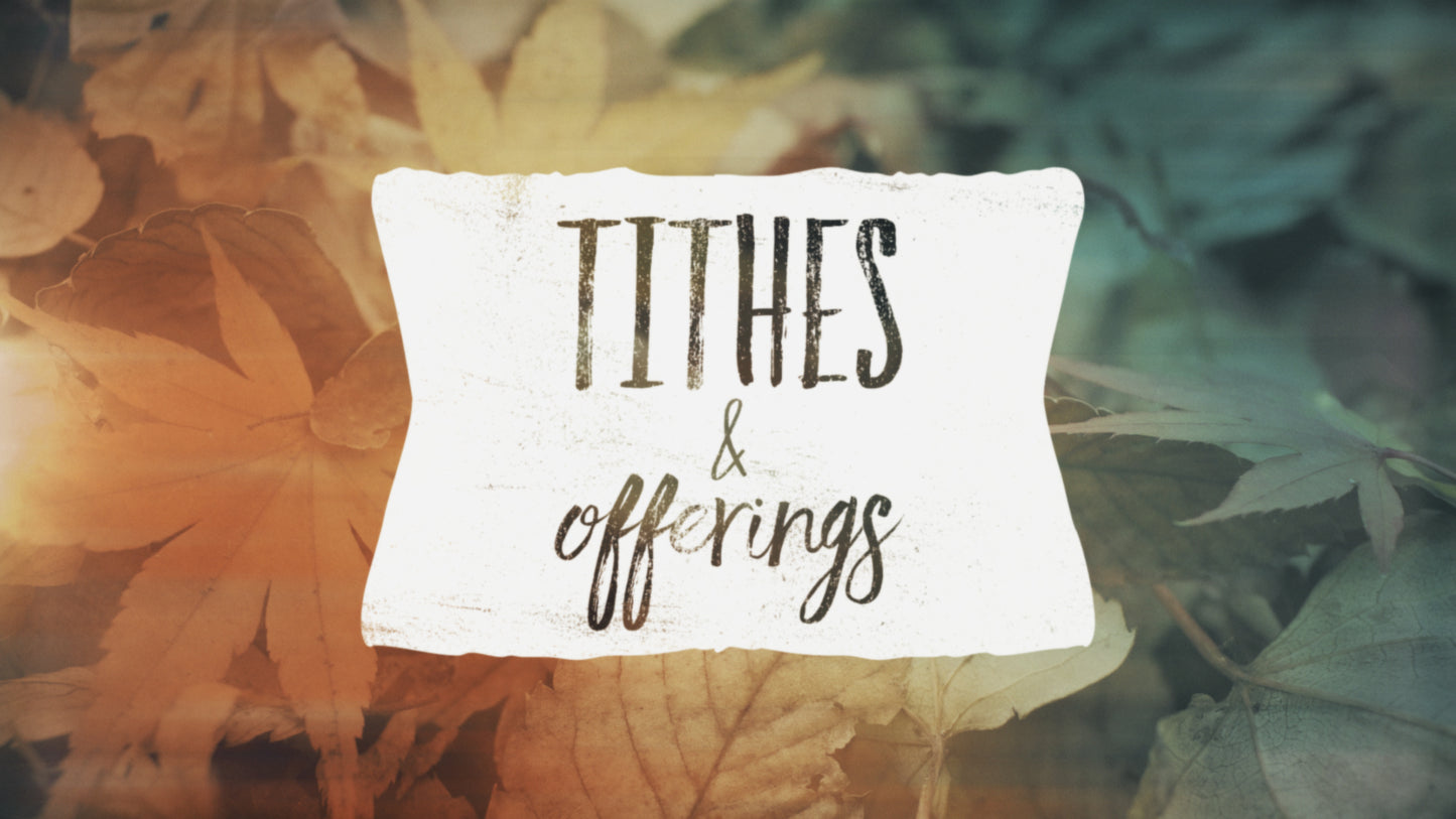Fallen Leaves Tithes & Offerings Still