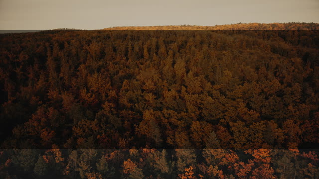 Autumn Foliage 2 Alt