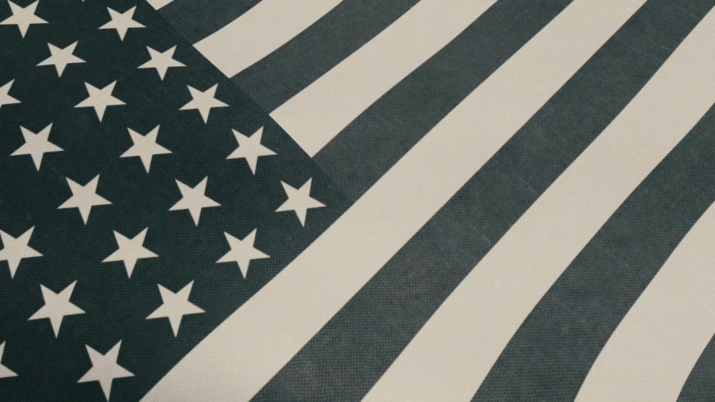 Vintage Waving American Flag 05 Still