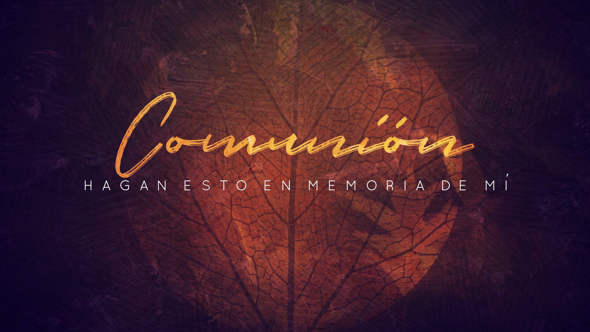 Fall Into Grace Communion Still | Shift Worship