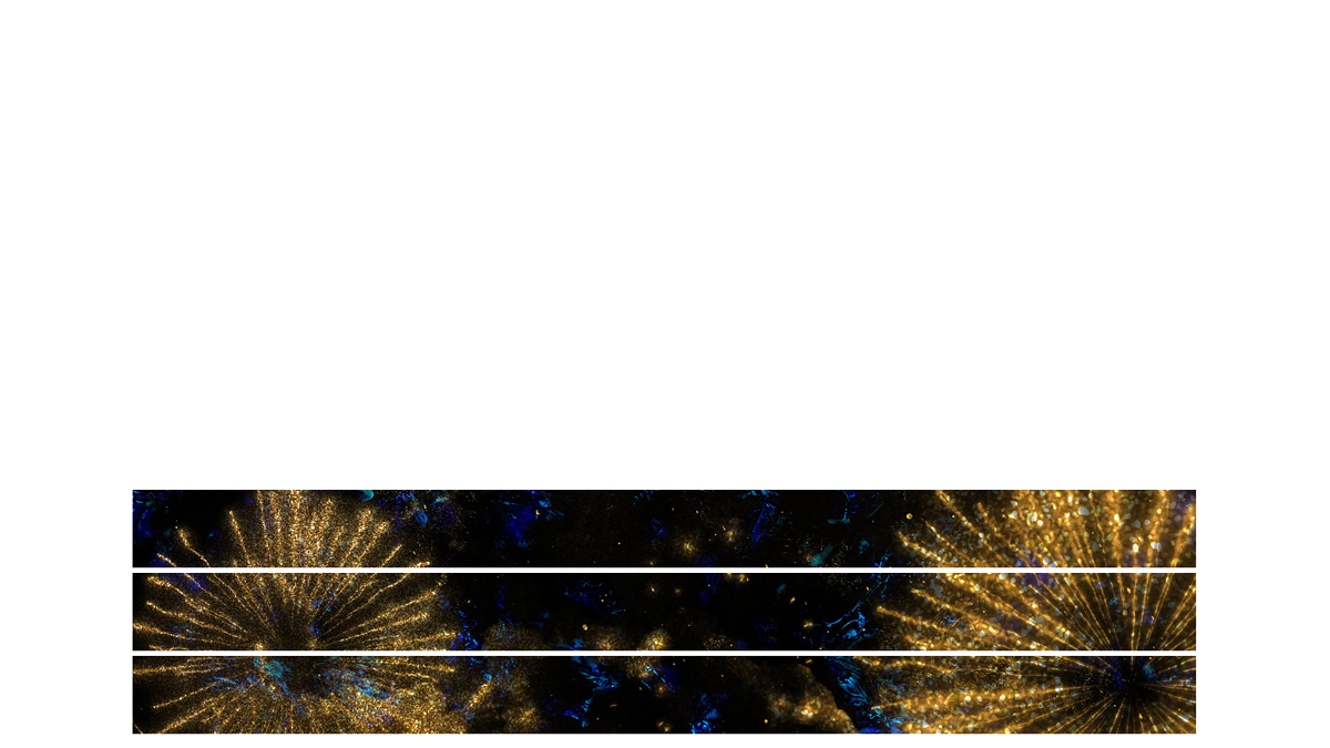 Sparkle Lower Third Blank 03 Transparency