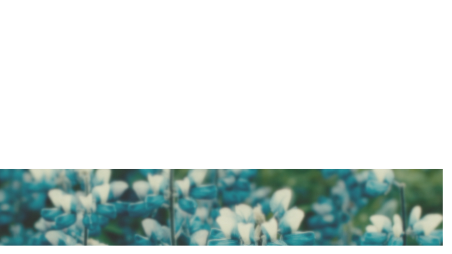 Muted Spring Lower Third 2