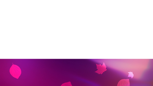 Light Leaves Lower Third Full Blank Large Transparency