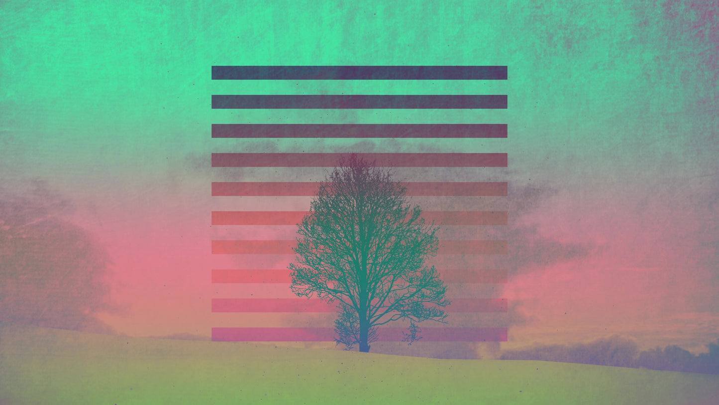 Lonely Tree Winter