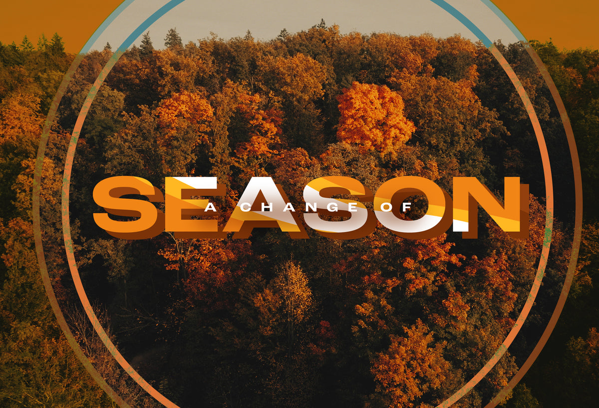 Autumn Foliage 8x5 Postcard