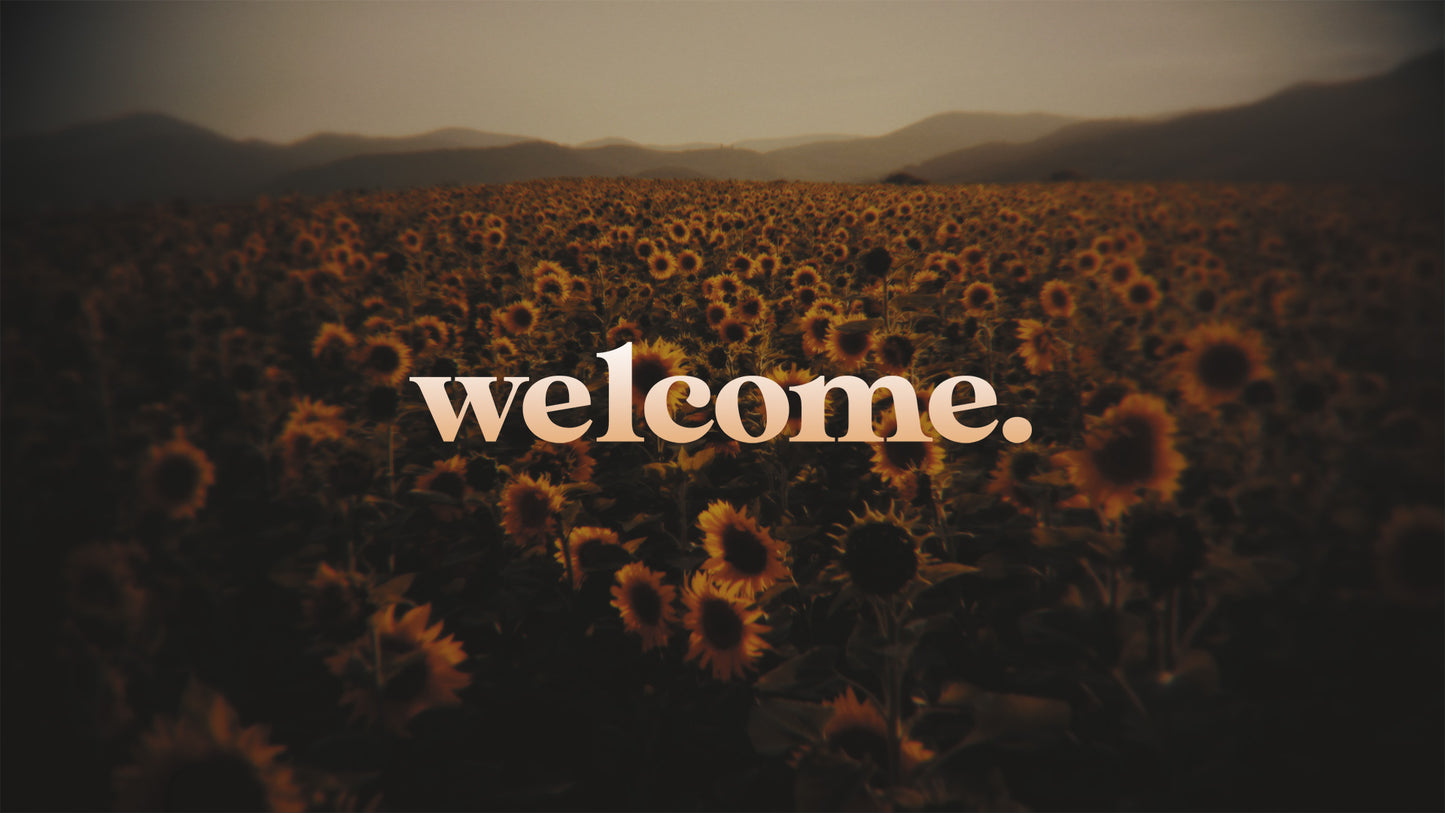 Vintage Sunflowers AE