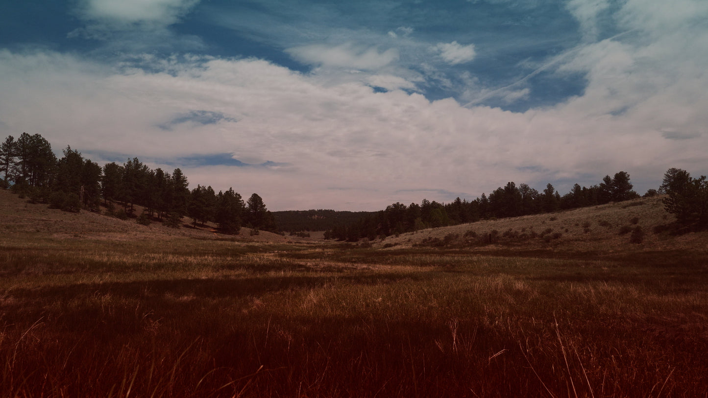 Nature Walk Grassland