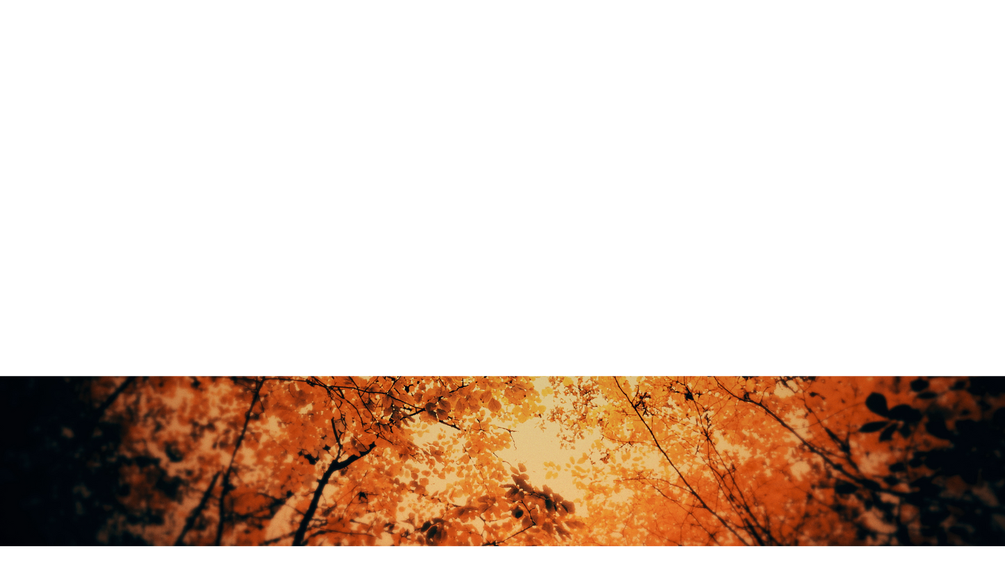 Autumn Fire Lower Third Full 3
