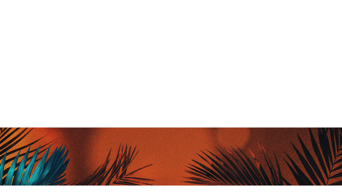 Vibrant Palms Lower Third 5