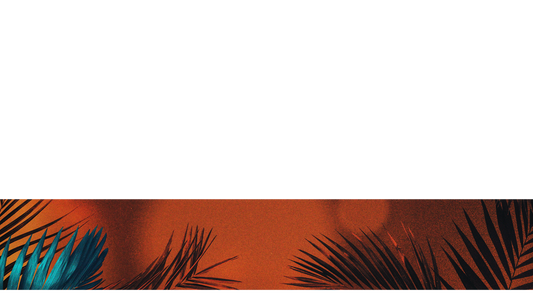 Vibrant Palms Lower Third 5