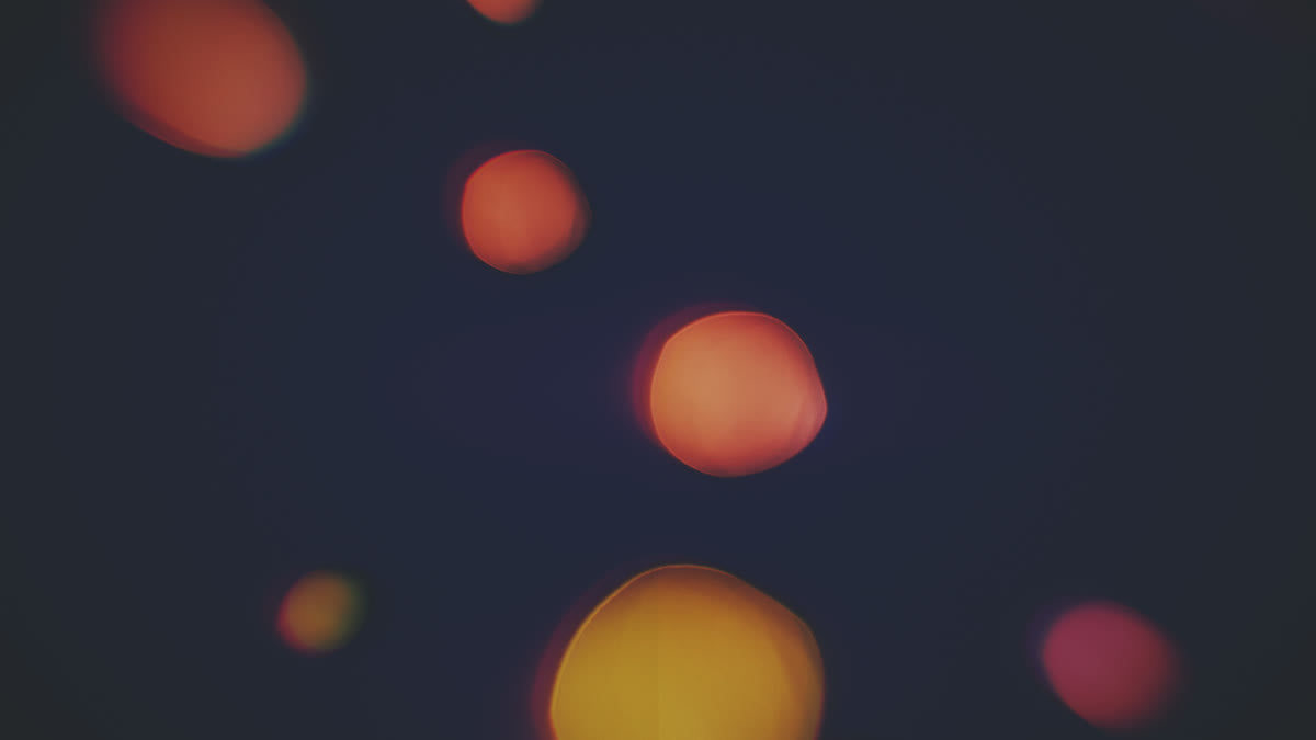 Blissful Bokeh 9