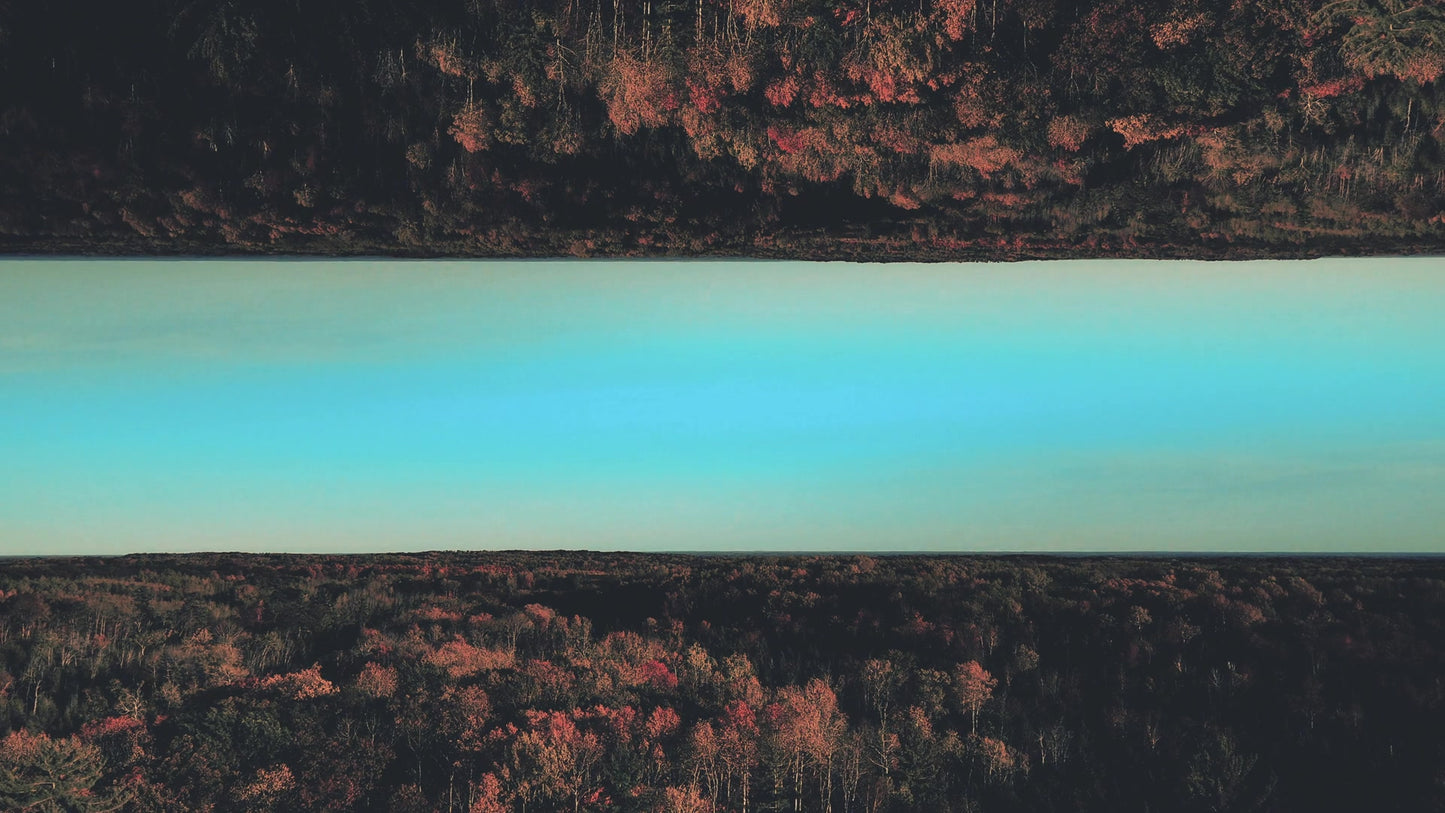 Foliage Remixed 10
