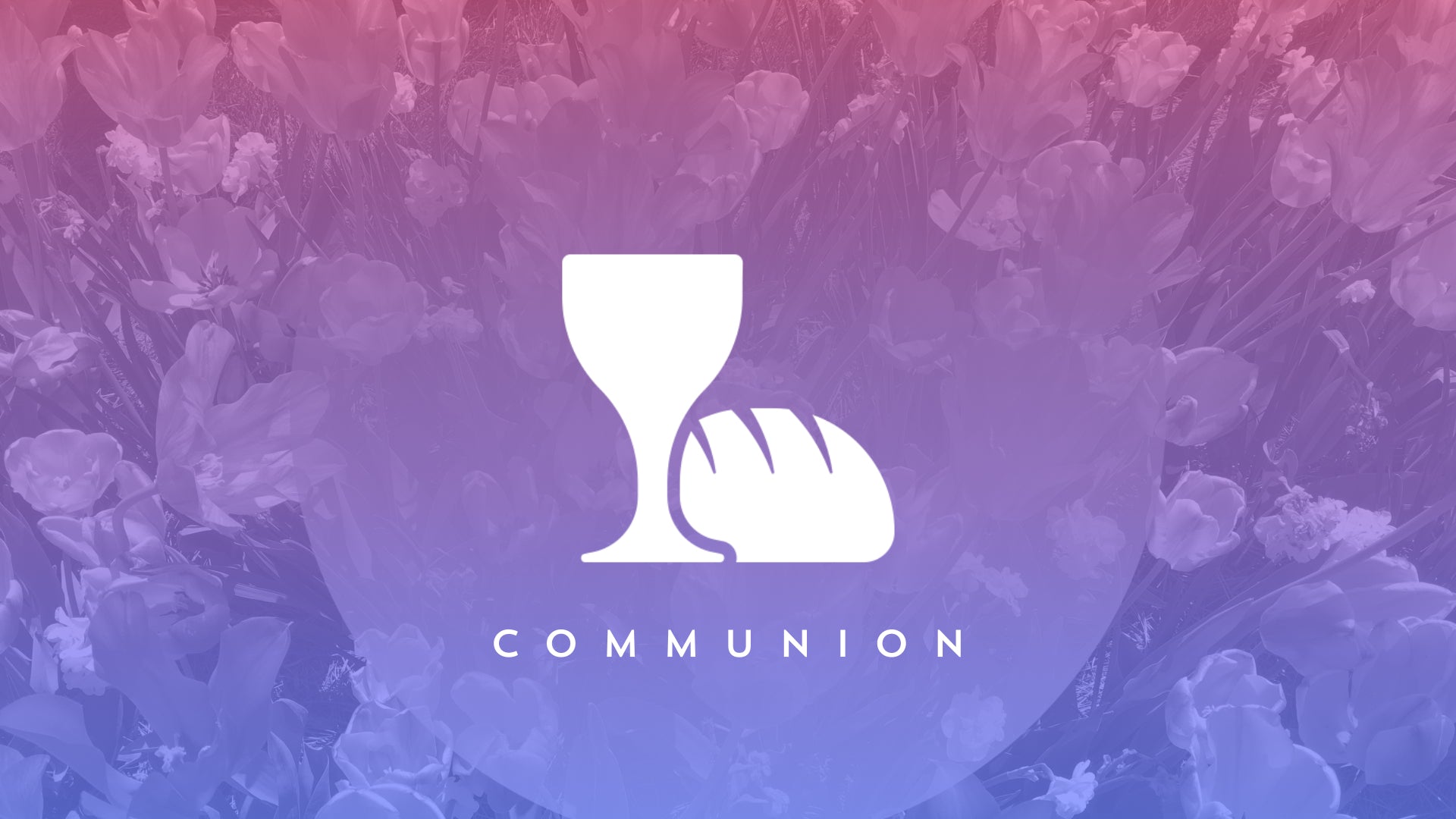 Kaleida Spring Communion Still | Shift Worship