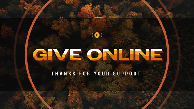Autumn Foliage Give Stream