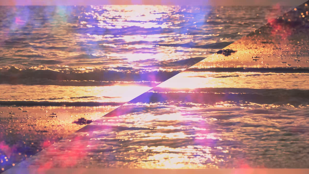 Summer Vibes 07