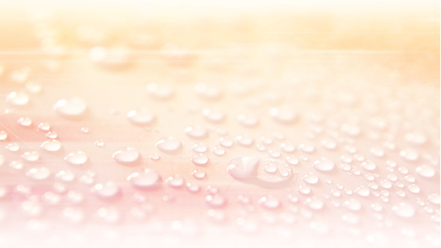 Morning Dew Light