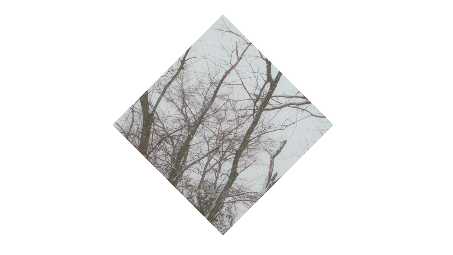 Winter Woods Diamond 01