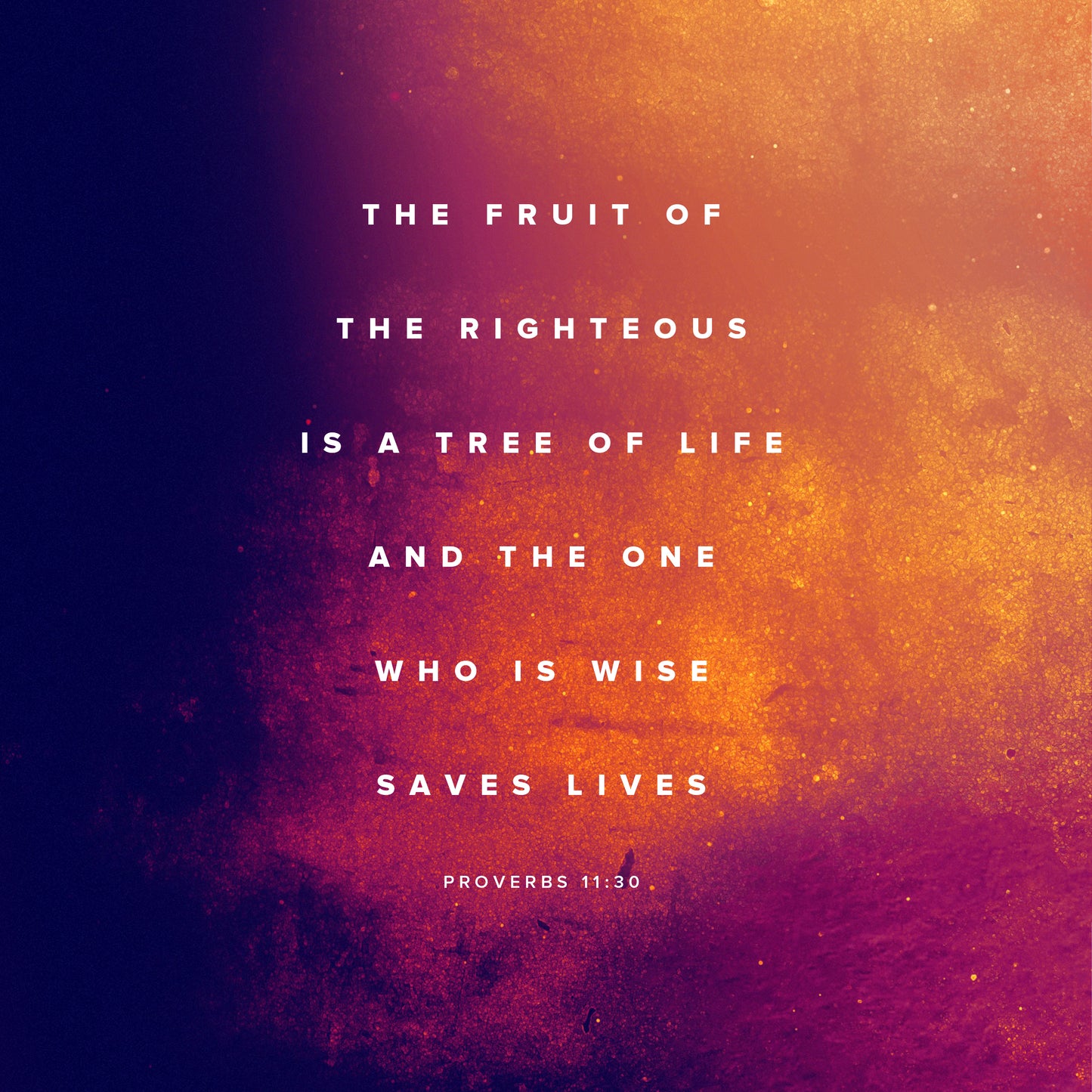 Proverbs 11:30 Social