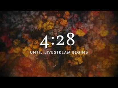 Aerial Journey Livestream Countdown
