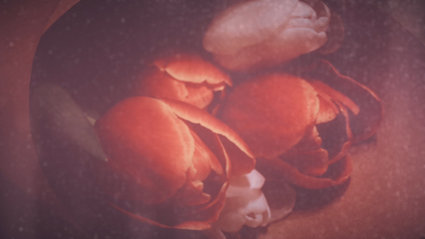 Elegant Flowers 04 Still